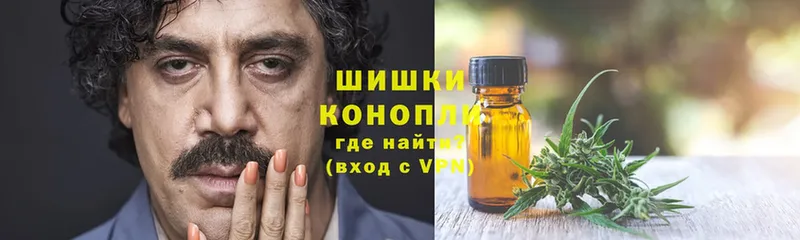 как найти закладки  Алагир  Каннабис ГИДРОПОН 